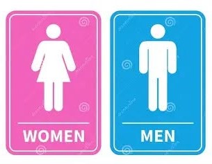 MaleFemale