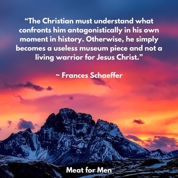 ScaefferQuote